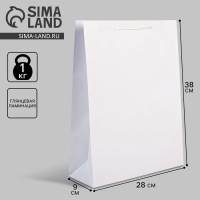 Пакет подарочный ламинированный, упаковка, &laquo;Белый&raquo;, L 28 х 38 х 9 см