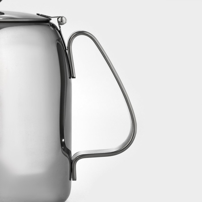 Чайник заварочный из нержавеющей стали Magistro Silver Line, 0,9 л