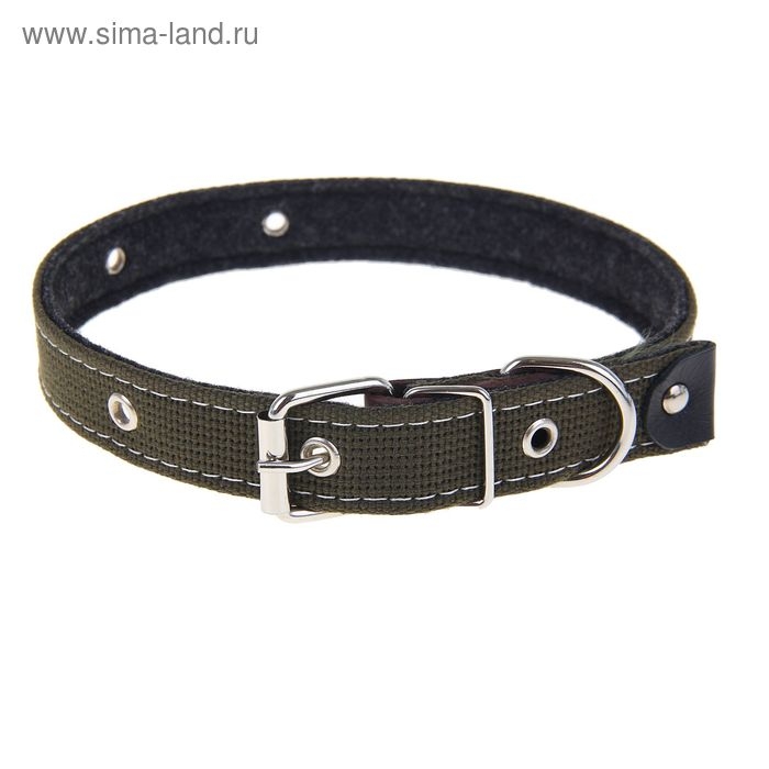 Ошейник брезентовый на фетре, 62 х 2,5 см, ОШ 30-55 см, тёмно-зелёный
