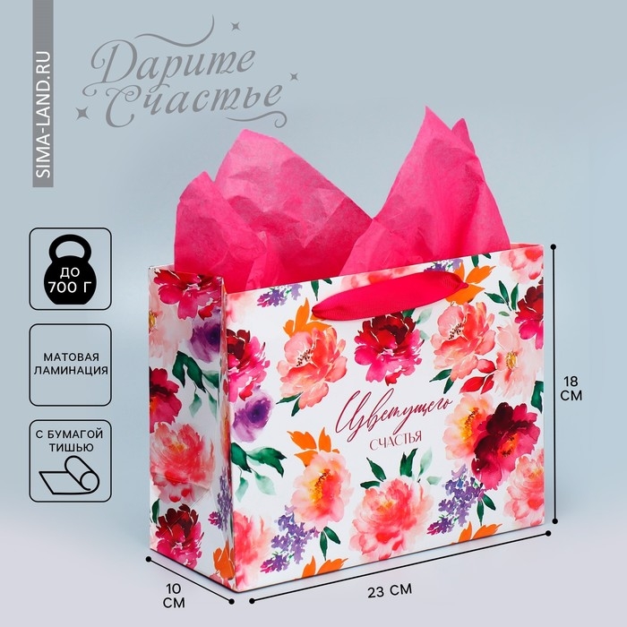 Пакет подарочный ламинированный с тишью, упаковка, &laquo;Счастье&raquo;, MS 23 х 18 х 10 см