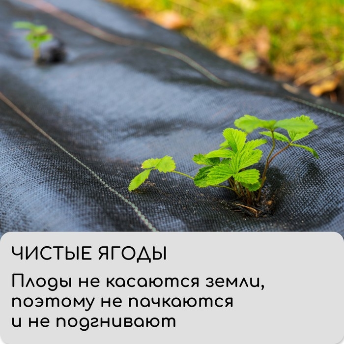 Агроткань застилочная, с разметкой, 5 &times; 1,1 м, плотность 100 г/м&sup2;, полипропилен, Greengo, Эконом 50%