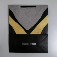 Пакет подарочный ламинированный, упаковка, &laquo;Успехов во всем&raquo;, XL 49 х 40 х 19 см