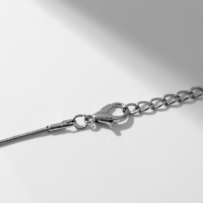 Кулон для фото &laquo;Эдель&raquo; круг, цвет серебро, 45 см