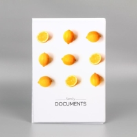 Папка для семейных документов &laquo;Docs&raquo;, 8 файлов А4