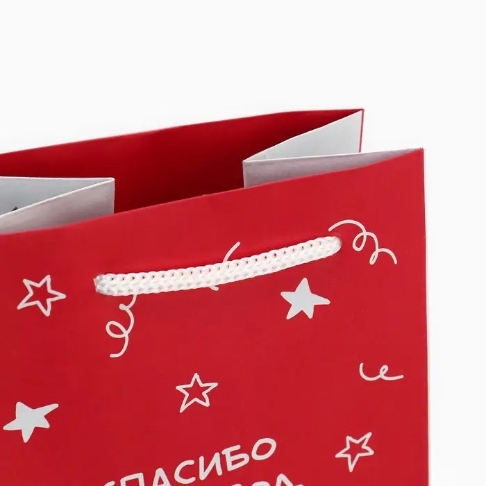 Пакет подарочный под бутылку, упаковка, &laquo;Гусь&raquo;, 36 х 13 х 10 см