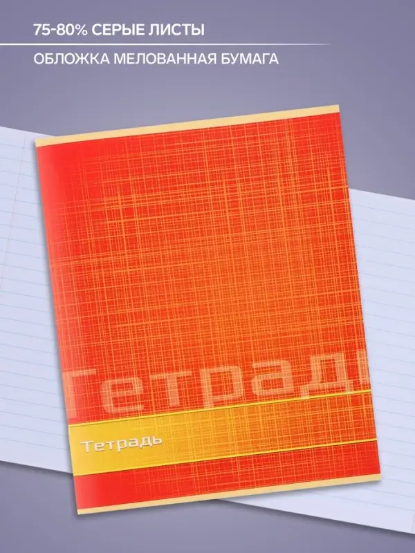 Тетрадь 48 листов в линейку Calligrata &laquo;Цвет и графика&raquo;, обложка мелованная бумага, блок №2, белизна 75% (серые листы), МИКС