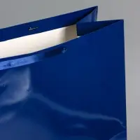 Пакет ламинированный горизонтальный "Синий", XXL  61 х 46 х 20 см