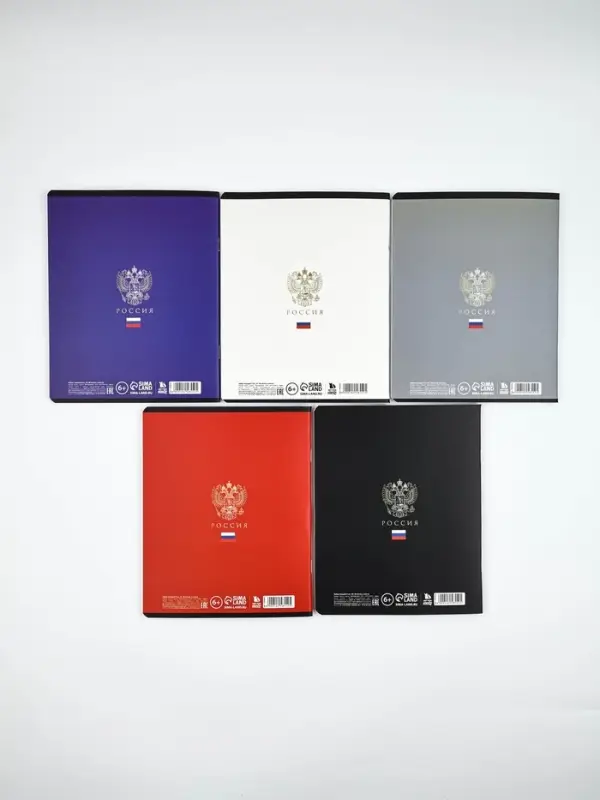 Тетради в клетку, 48 л., набор из 5 шт., блок №1 &laquo;Россия&raquo;