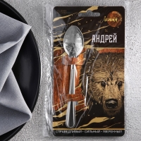 Ложка именная на открытке &laquo;Андрей&raquo;, 3 х 14 см.