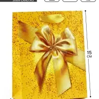 Пакет подарочный, упаковка, &laquo;Бант&raquo;, частичный лак, S 12 х 15 х 5.5 см