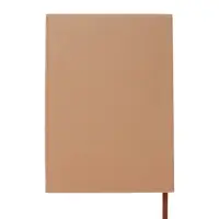 Ежедневник недатированный формат А5, с клапаном, 112л, линия, пвх, Бежевый