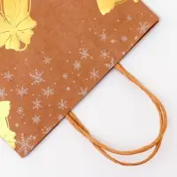 Пакет крафт с золотым тиснением, круглая ручка, &laquo;Колокольчик&raquo; 21&times;27&times;11 см, 120 г