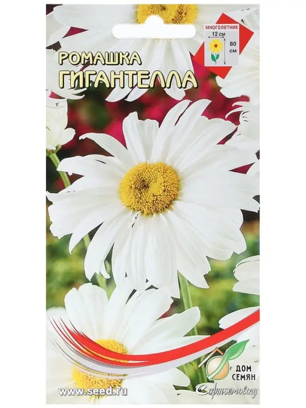 Набор семян Ромашка "Гигантелла", 5 шт.