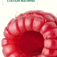 Гель для душа, увлажнение и уход, аромат малины, 250 мл, Рябина