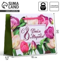 Пакет подарочный ламинированный, упаковка, &laquo;С днём 8 марта&raquo;, S 12 х 15 х 5.5 см