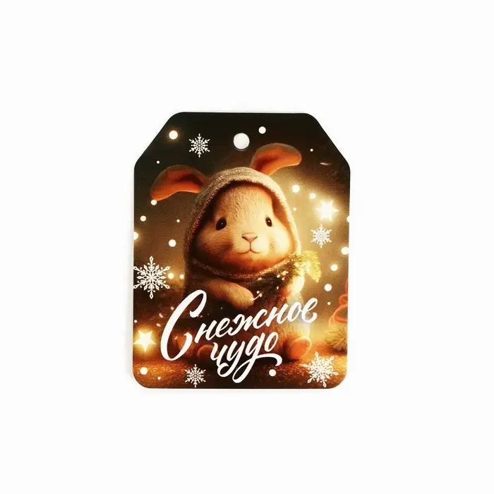 Шильдик на подарок &laquo;Чудо обязательно случится!&raquo;, набор 6 штук, 16&times;24 см