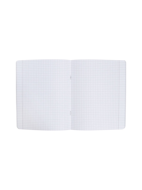 Тетрадь 48л кл MORANDI COLORS, МИКС