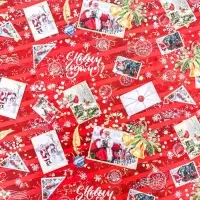 Бумага упаковочная глянцевая &laquo;Письмо от Санты &raquo;, 70&times;100 см