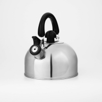 Чайник со свистком из нержавеющей стали Доляна &laquo;Чёрная ночь&raquo;, 2 л, индукция, цвет хромированный