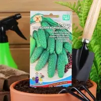 Набор семян Огурец "Уральский корнишон" F1, раннеспелый, партенокарпический, 5 шт.