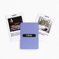 Настольная экономическая игра для тех, кто в теме "РЕШАЛЫ"