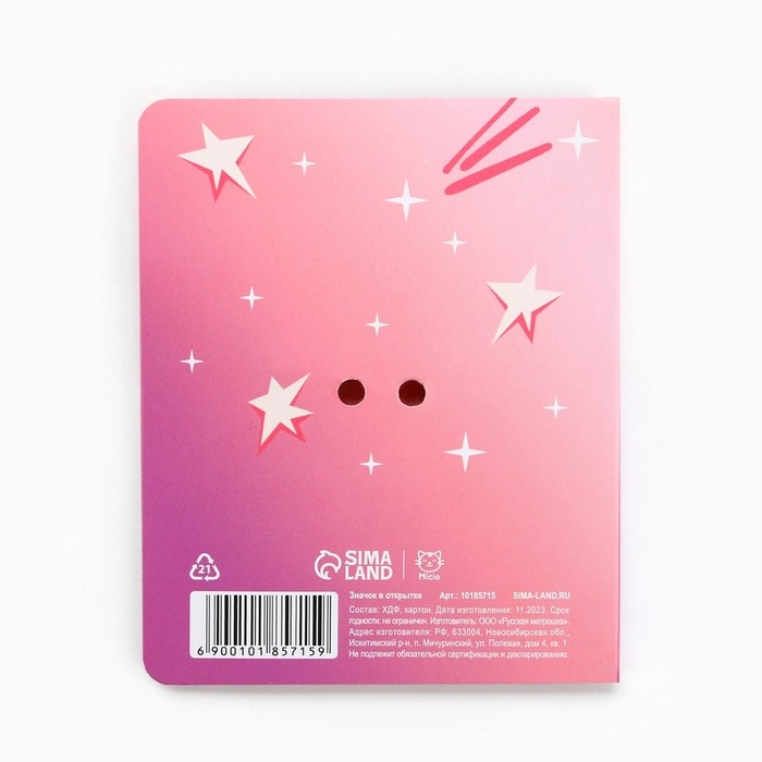 Значок на открытке &laquo;Подружки&raquo;, 10 х 8 см