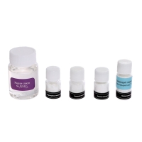 Набор для опытов &laquo;Химия Нового года&raquo;, 20 опытов