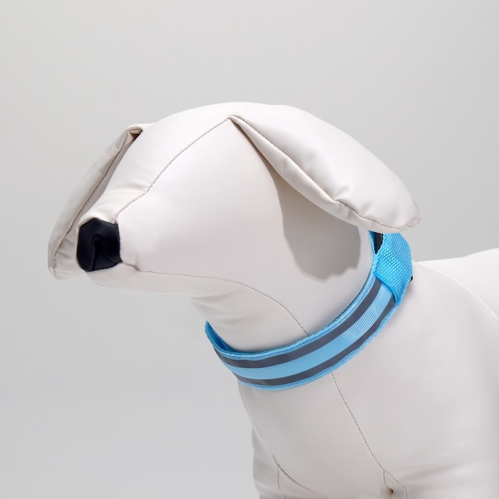 Ошейник с подсветкой Двойная полоса размер S, ОШ 35-43 х 2,5 см, 3 режима свечения голубой