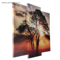 Модульная картина "На закате"  (2-25х52; 1-30х60) 60х80 см