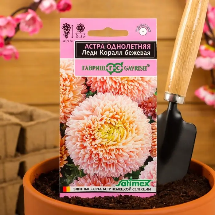 Семена цветов Астра "Леди Корал бежевая", ц/п,  однолетняя, серия Эксклюзив,  0,05 г