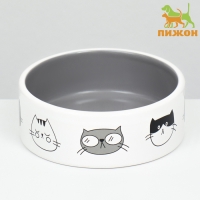 Миска керамическая "Четыре кота" 300 мл  12,5 x 4,5 cм, белая/серая