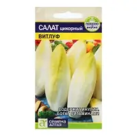 Семена Салат "Цикорий Витлуф", ц/п,  0,5 гр.