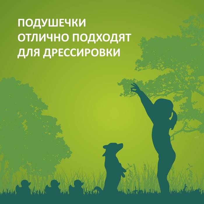 Подушечки глазированные TitBit "Золотая коллекция" для собак, с начинкой из телятины, 100 г