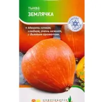 Семена Тыква "Землячка" 3 шт