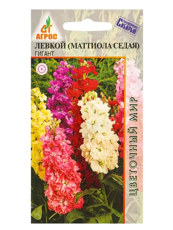 Семена Левкой гигант 0,2 г