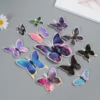 Набор магнитов на холодильник &laquo;Космос &raquo;, 12 шт., картон, h=4-10 см