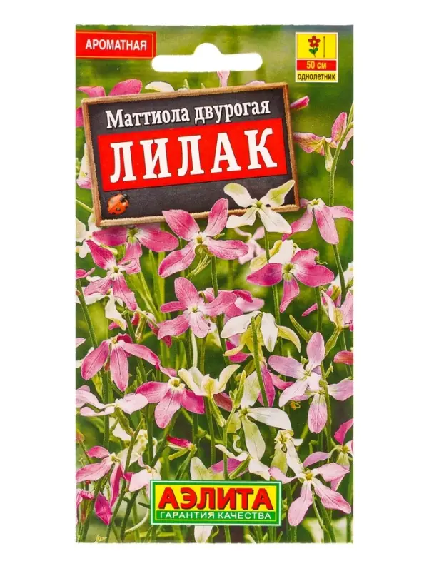 Семена цветов Маттиола двурогая Лилак , Ц/П,0,5 г