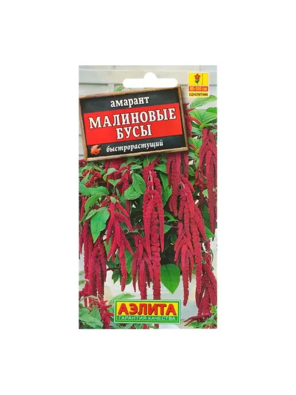 Набор семян Амарант "Малиновые бусы", О, 5 шт.