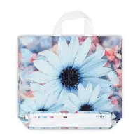 Пакет "Дарси", полиэтиленовый с петлевой ручкой, 37 х 34 см, 70 мкм