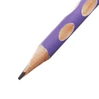 Карандаш чернографитный НВ , Пастель, корпус треугольный МИКС