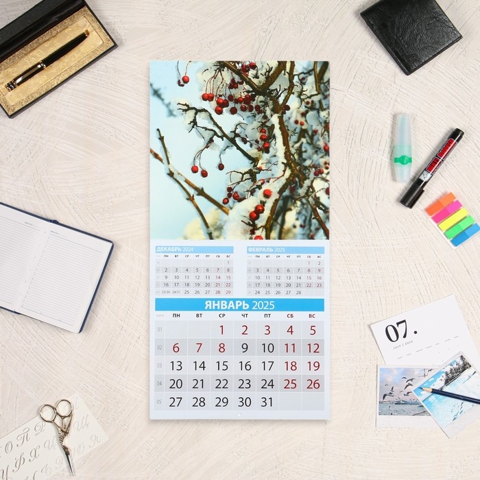 Календарь перекидной на скрепке "Красота природы" 2025 год, 12 листов, 29х29 см