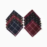 Платки носовые мужские Экономь и Я "Клетка" 38*38 см, (набор 10 шт), рис. МИКС,100% пэ