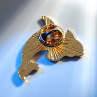 Значок &laquo;Косатка&raquo; созвездие, цвет чёрно-зелёный в золоте