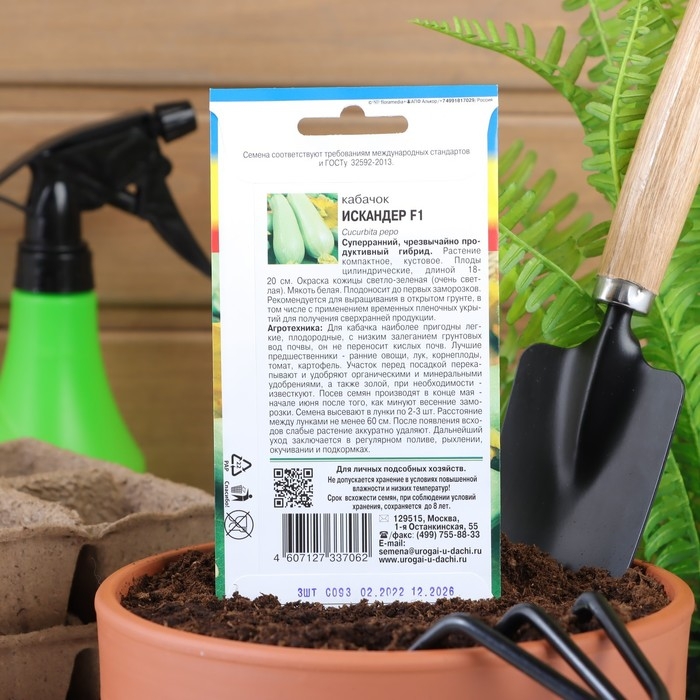 Семена Кабачок "Искандер", F1,3 шт.
