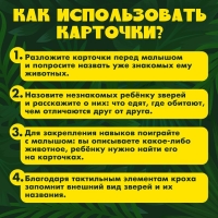 Развивающий набор &laquo;Животные Африки&raquo;, тактильные карточки