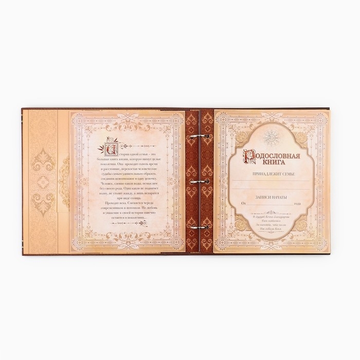 Родословная книга с рамкой под фото &laquo;Семейная&raquo;, 21,5 х 23,7 см.