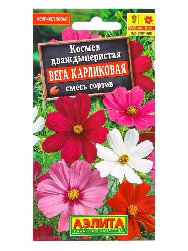 Семена цветов Космея Вега карликовая, смесь сортов , Ц/П,0,3 г