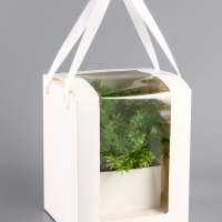 Коробка для цветов, 16 х 16 х 20 см, белая