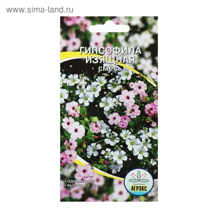 Семена цветов Гипсофила Семена цветов Гипсофила "Изящная", смесь окрасок, О, 0,1 г