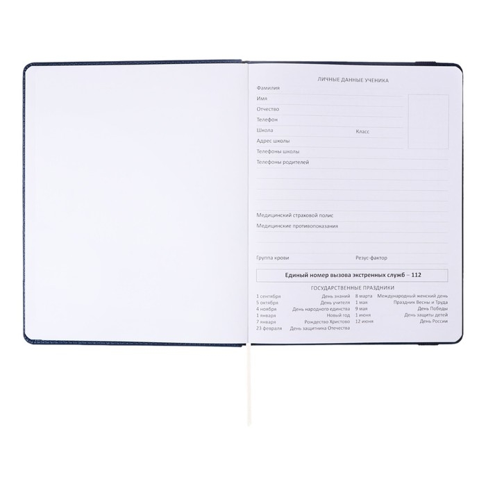 Дневник универсальный для 1-11 классов Dark blue, твёрдая обложка, искусственная кожа, резинка, ляссе, 48 листов